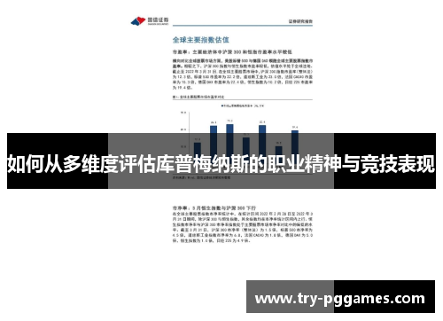 如何从多维度评估库普梅纳斯的职业精神与竞技表现