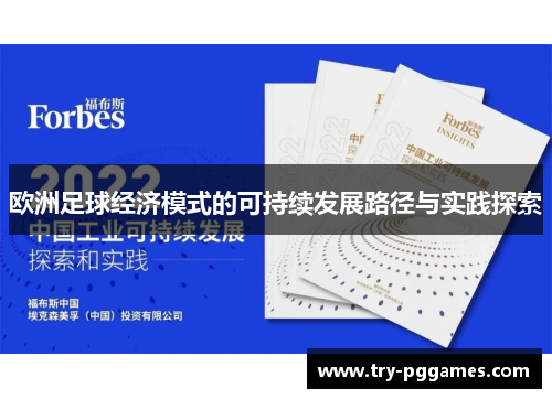 欧洲足球经济模式的可持续发展路径与实践探索
