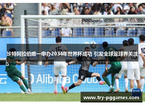 沙特阿拉伯唯一申办2034年世界杯成功 引发全球足球界关注