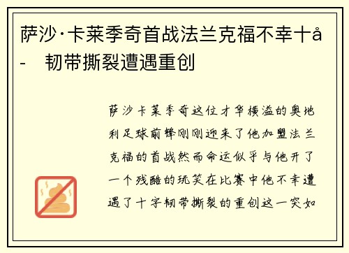 萨沙·卡莱季奇首战法兰克福不幸十字韧带撕裂遭遇重创